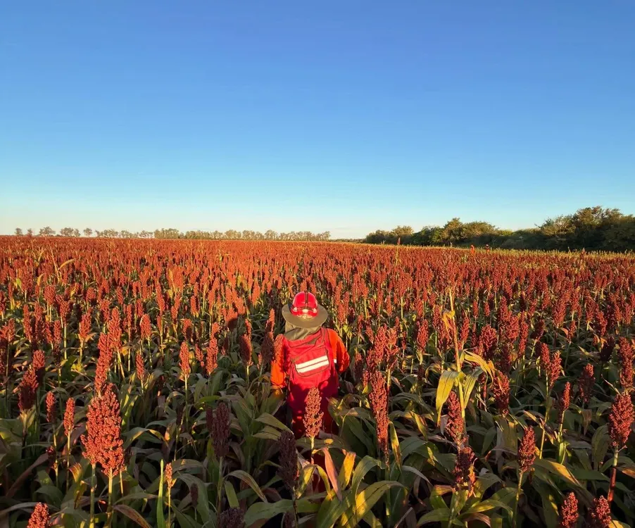 WhatsApp Image 2026-03-20 at 12.11.04bbomeros joven23