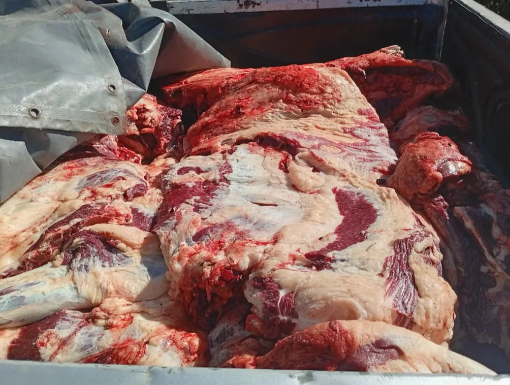 WhatsApp Image 2026-03-25 at 10.42.58carne11