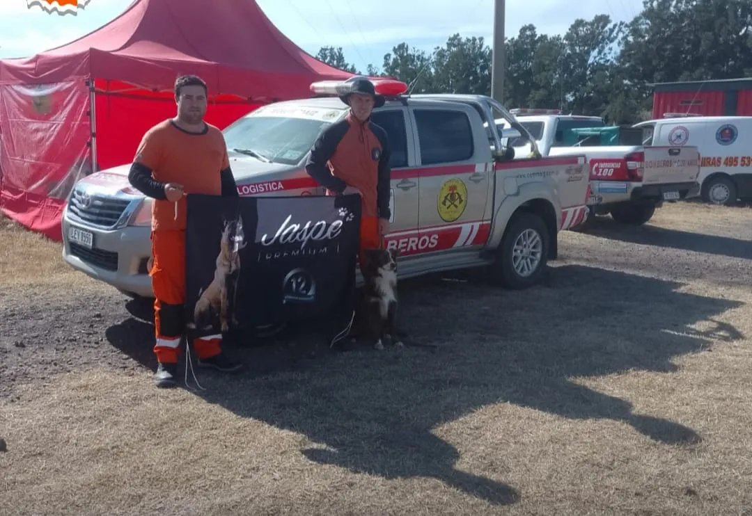 bobmeros monte 2w2 julio perros