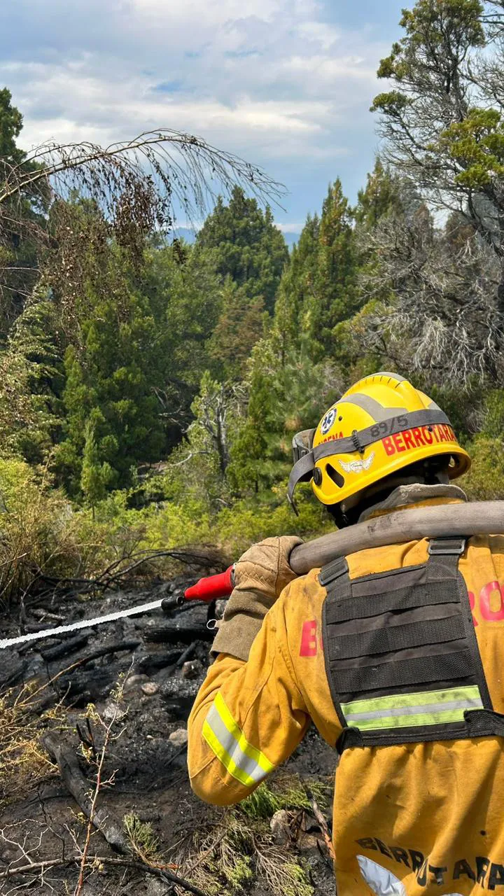 WhatsApp Image 2026-01-13 at 20.43.42foro bobmeros2