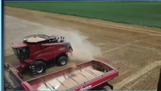 WhatsApp Image 2026-01-18 at 10.21.20campo