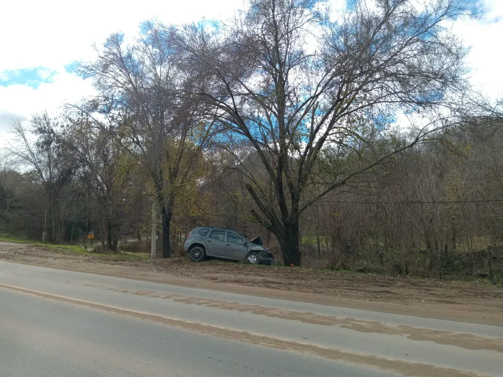 WhatsApp Image 2026-06-08 at 20.19.11auto arbol4