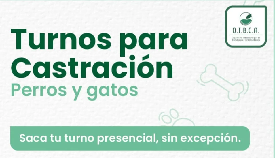 WhatsApp Image 2026-06-09 at 19.35.43casrtracin1