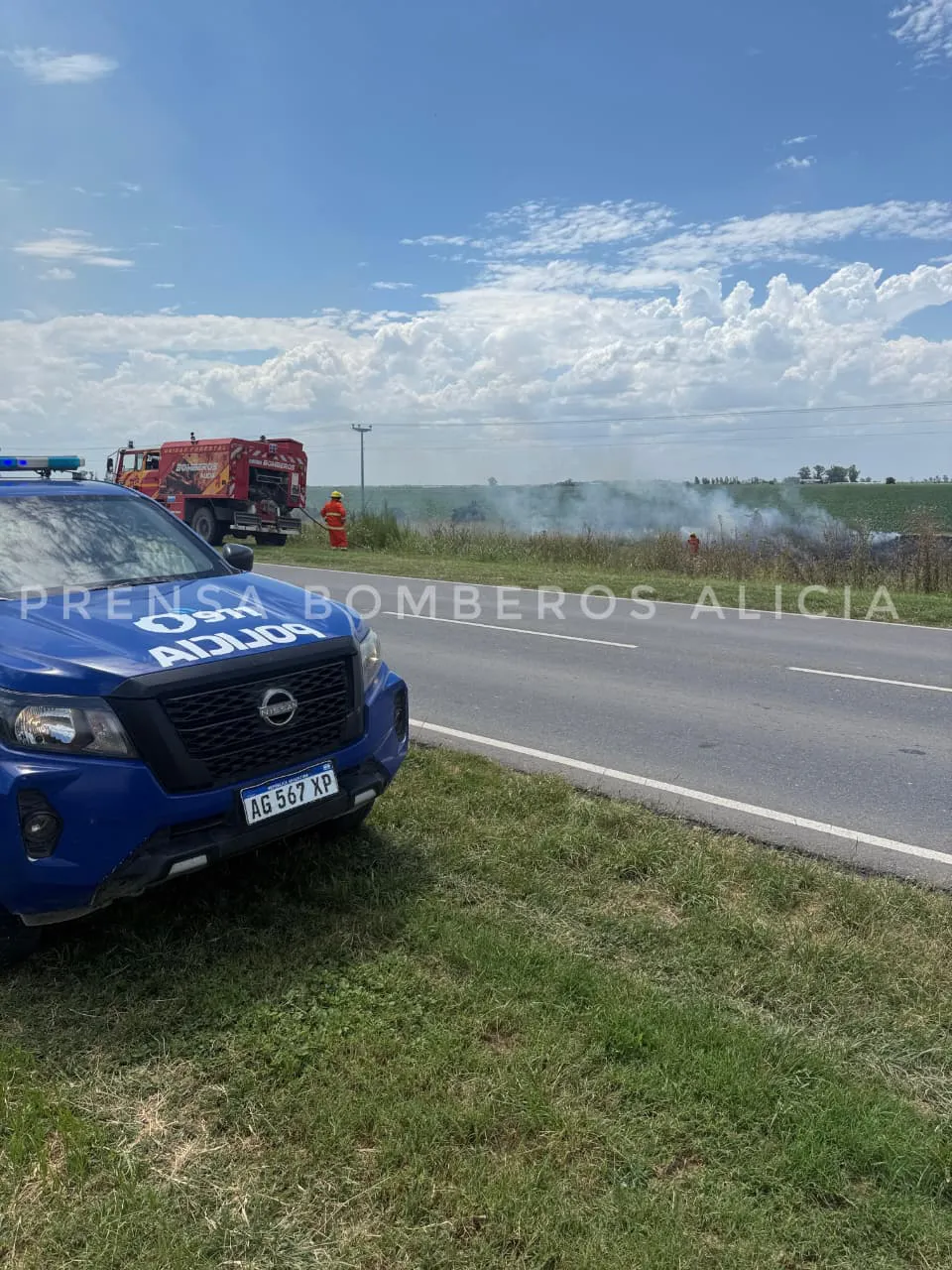 WhatsApp Image 2026-01-31 at 21.14.38bobmeros alicia44