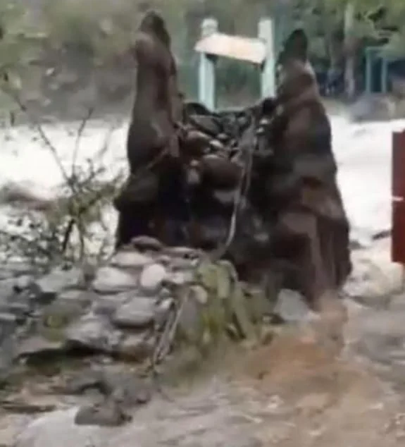 WhatsApp Image 2026-04-02 at 14.12.38puente3