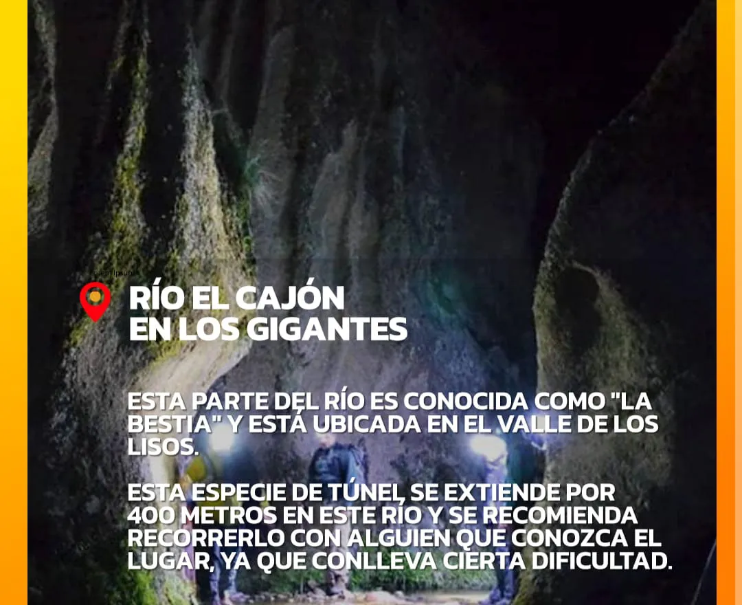 WhatsApp Image 2026-02-16 at 10.52.19cajon2