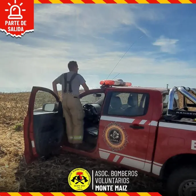 bobmeros monte maiz8888