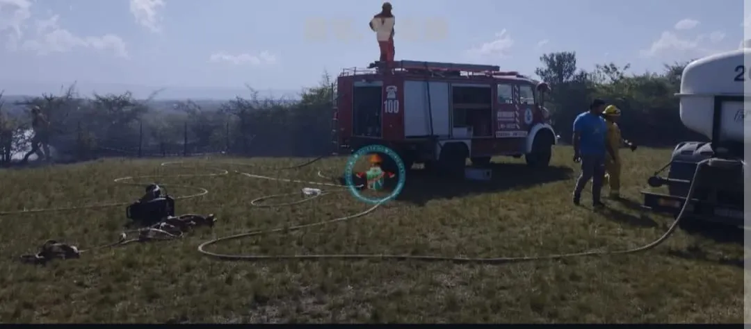 bomeros belgrano sabado 114