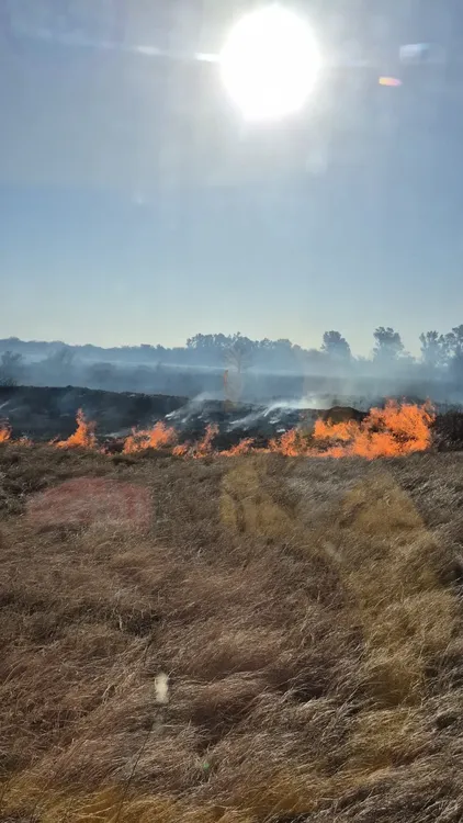 fuego en laspiur