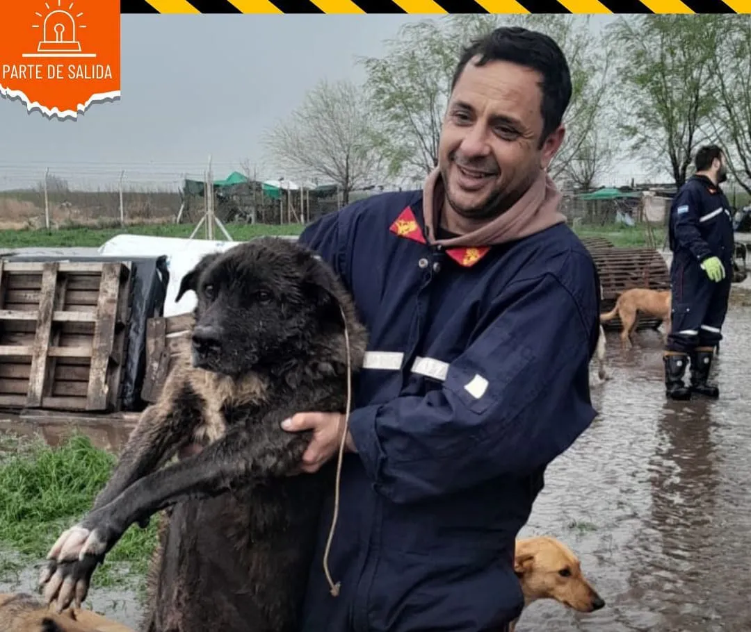 bomeros monte perrito portada