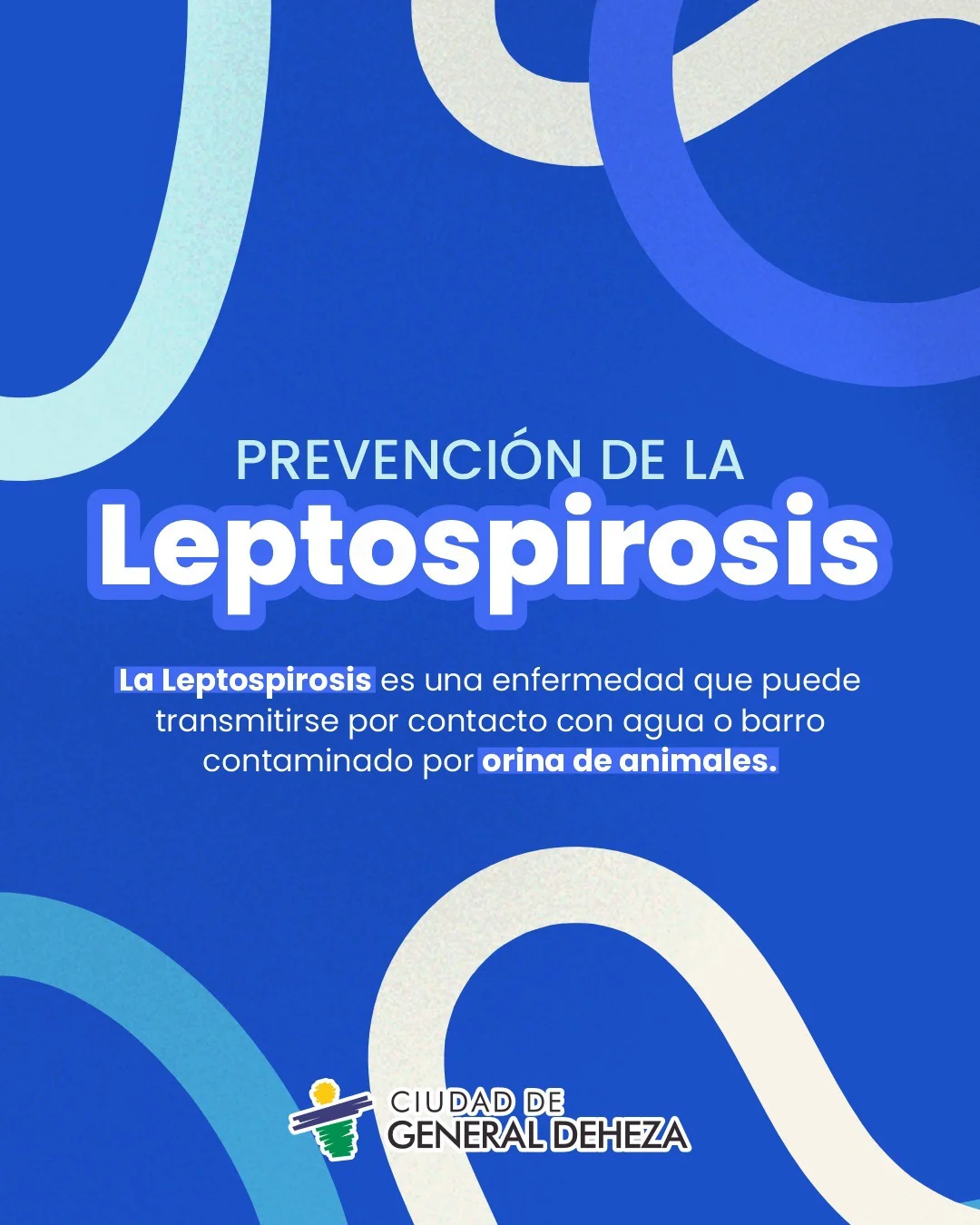 WhatsApp Image 2026-04-15 at 21.18.26leptospirosis