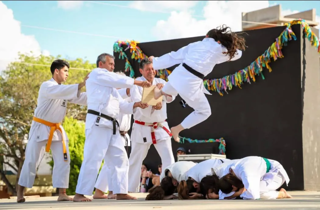 chivccos varillas depoprte667