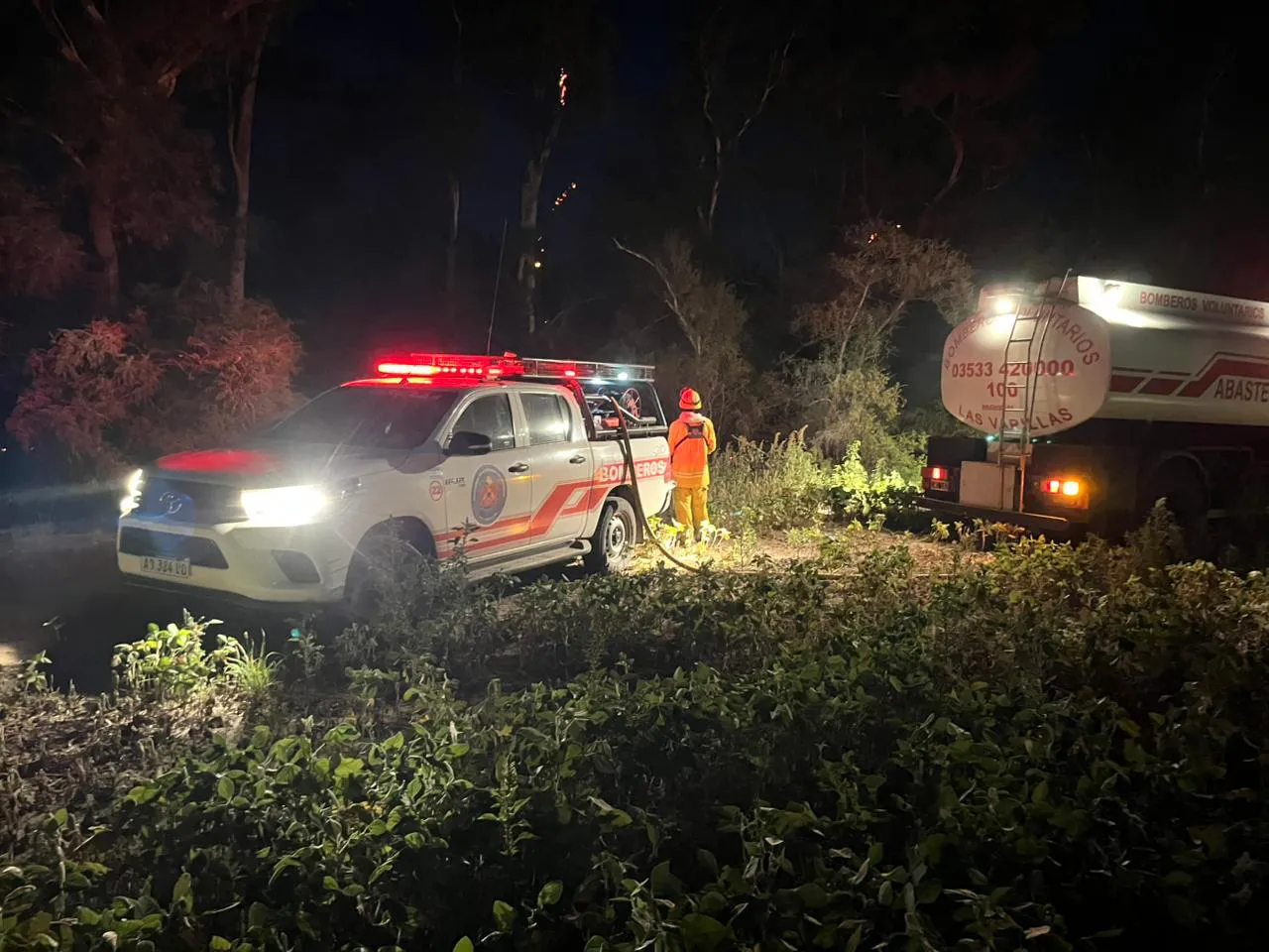 bobmeros portada el arasñado