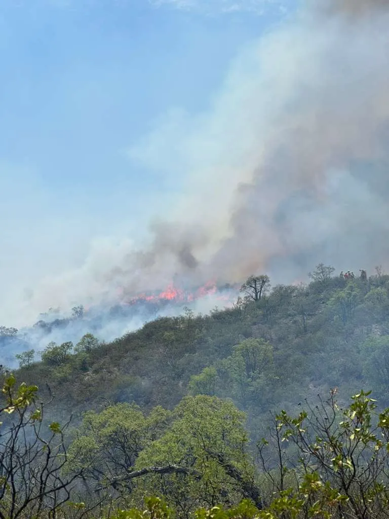incendio00003