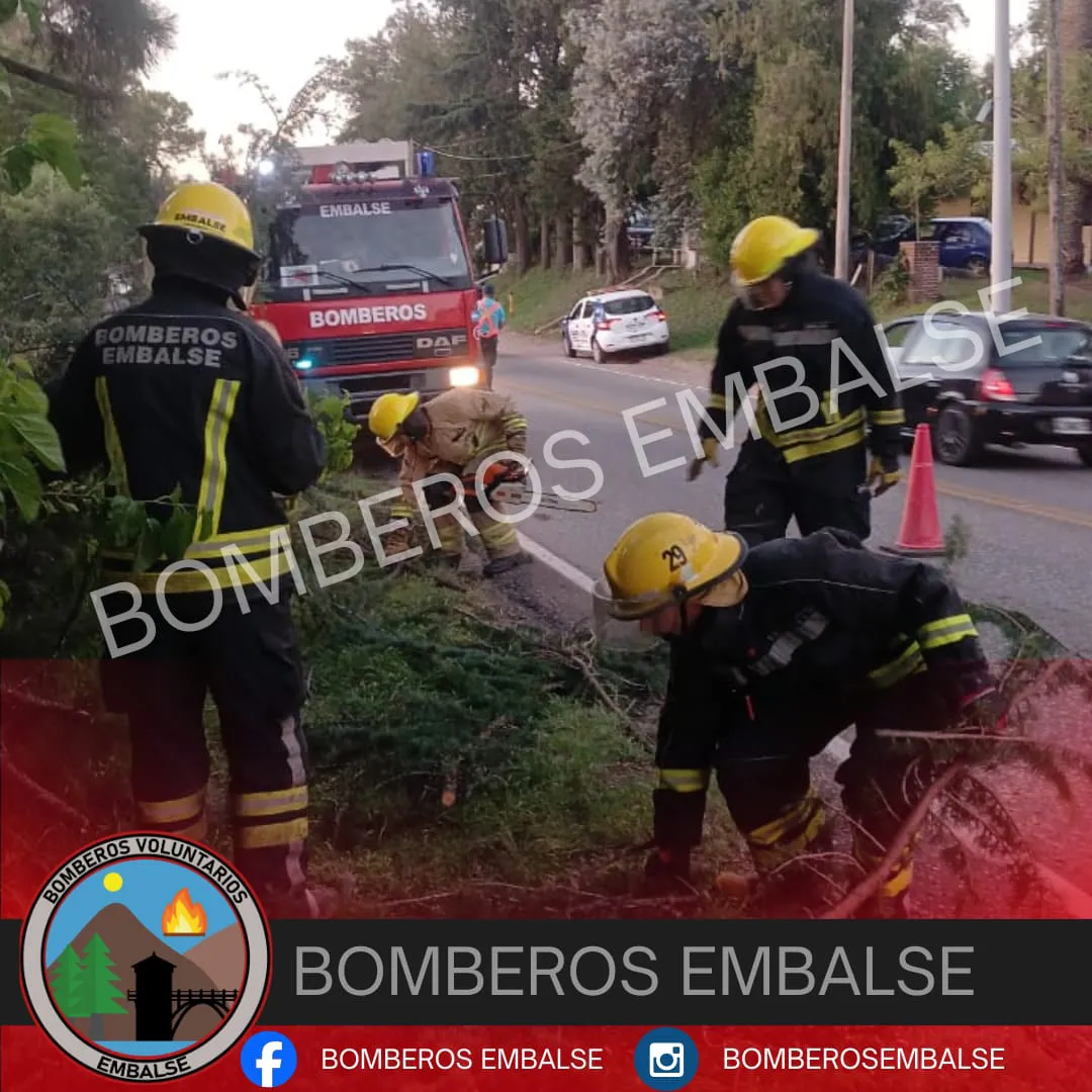 WhatsApp Image 2026-01-03 at 23.43.57arboles ciados55