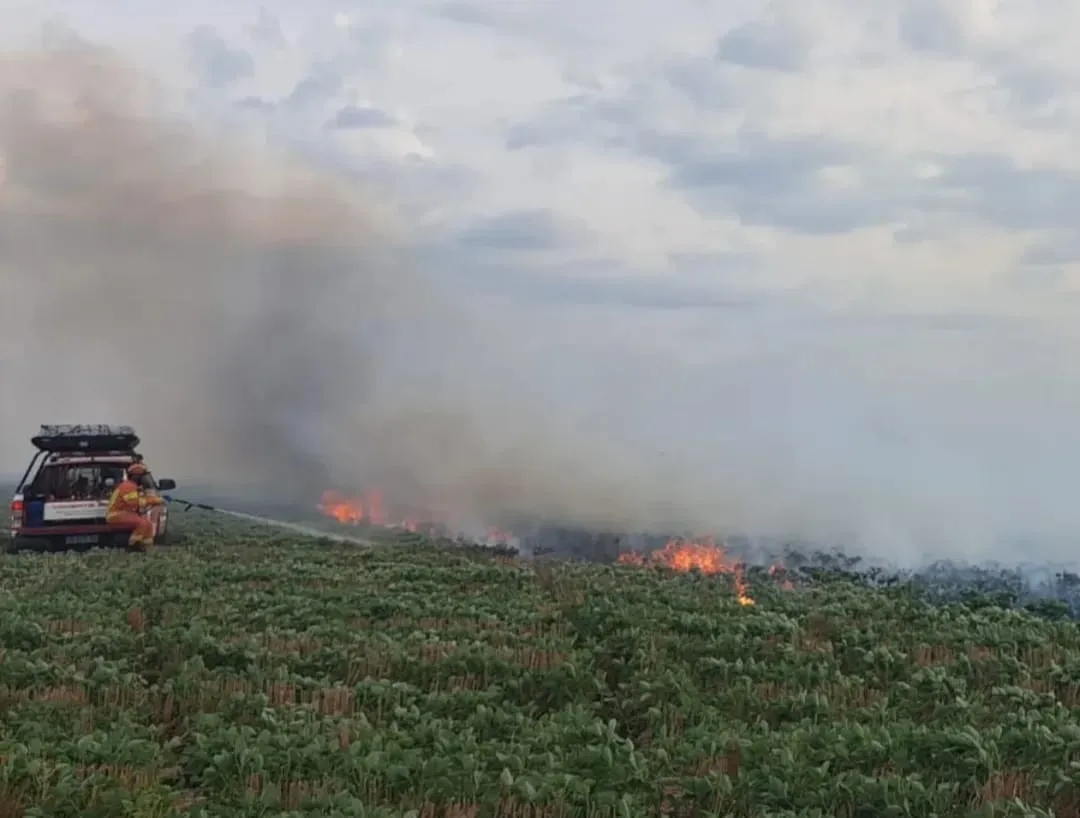 WhatsApp Image 2026-02-05 at 21.48.08bbomeros590595