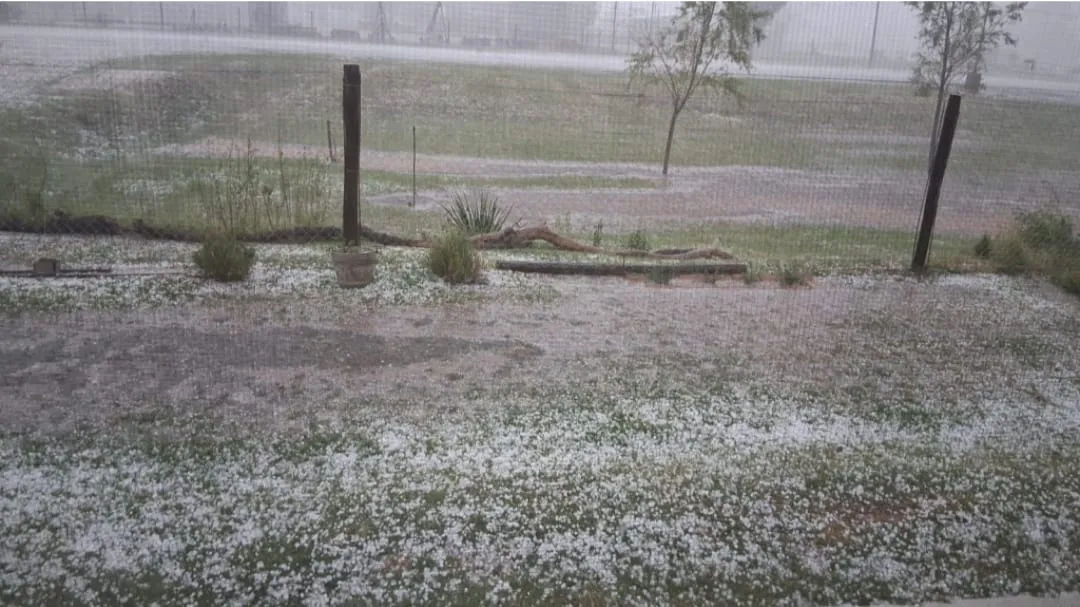 WhatsApp Image 2025-12-25 at 10.23.03temporal monte maiz