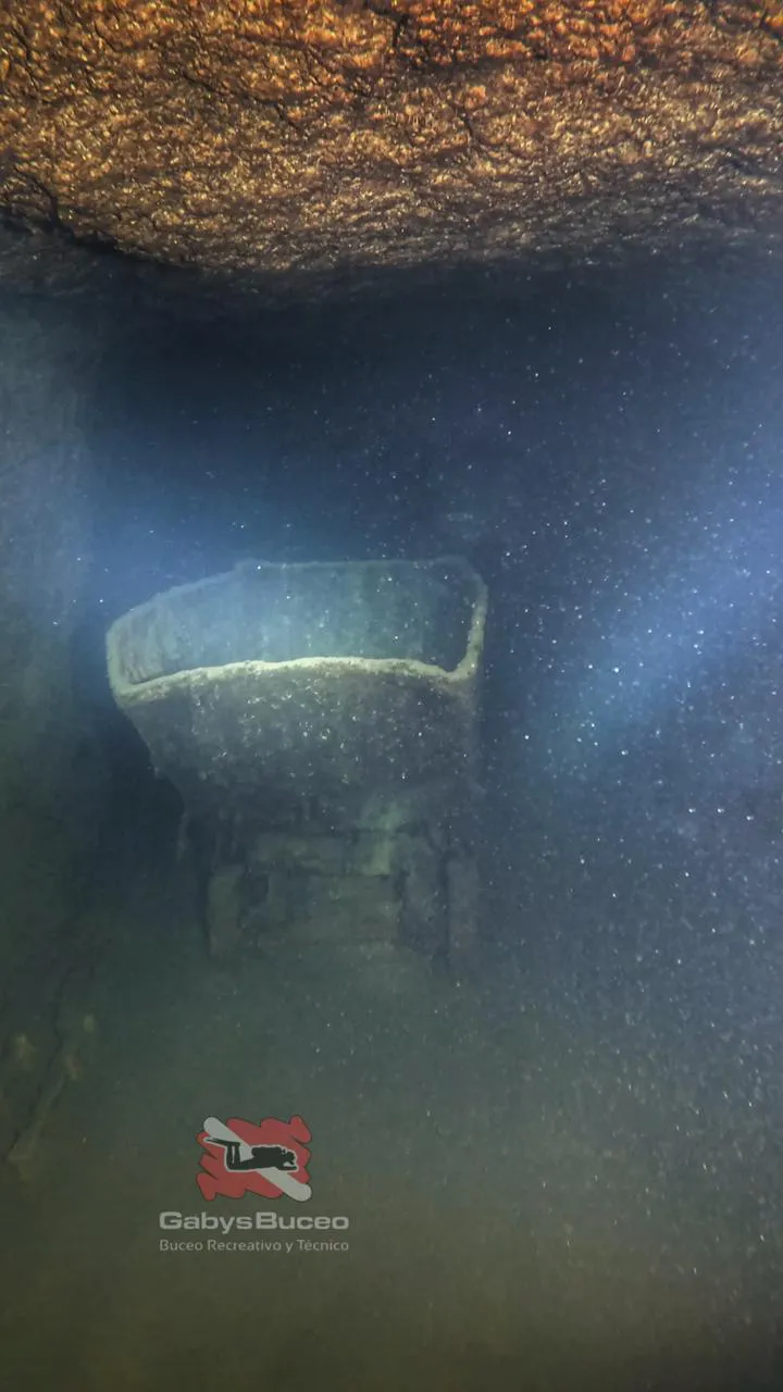 WhatsApp Image 2026-02-04 at 08.01.34BERROTARAN5050