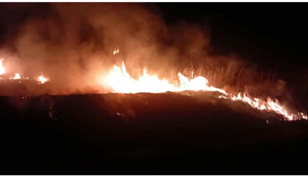 bobmerois monte 6678787