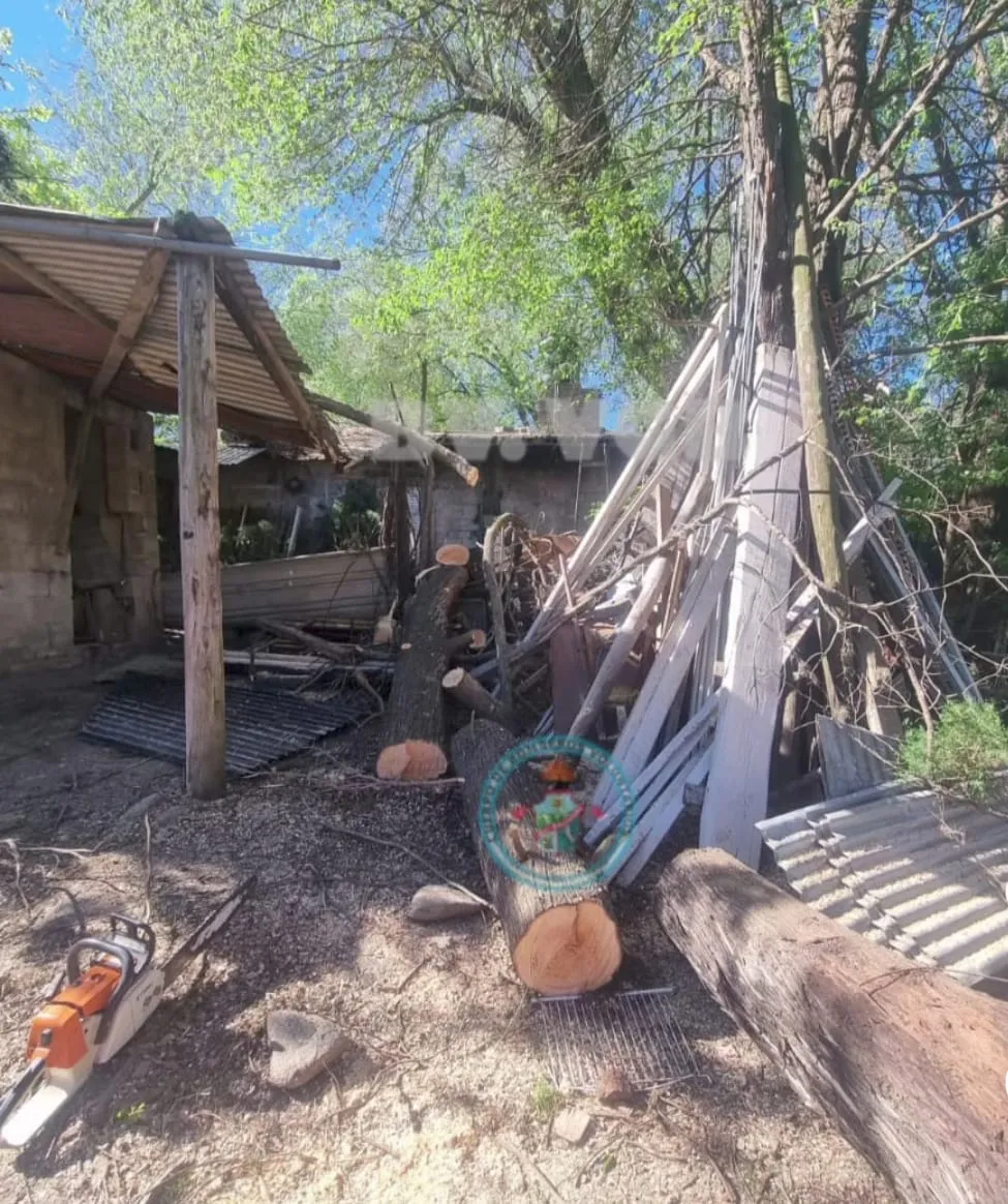 bomeroos belgrano2900