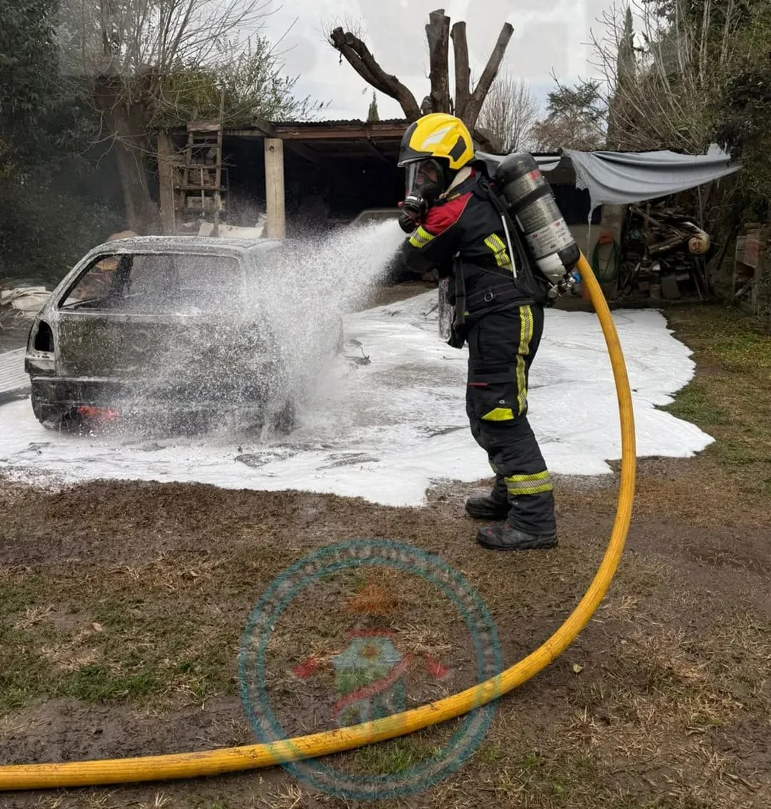 WhatsApp Image 2026-06-04 at 20.47.17incendio33