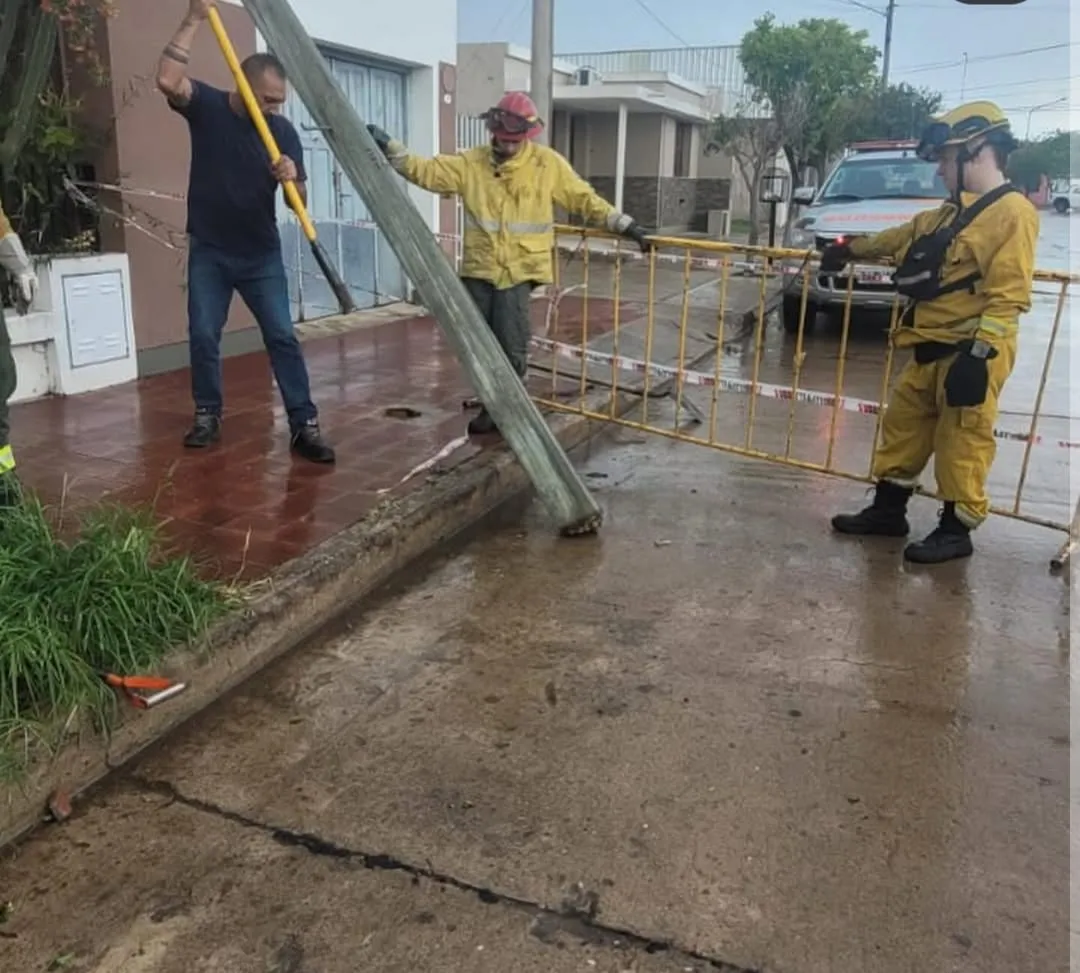 WhatsApp Image 2026-02-16 at 10.43.45otro333