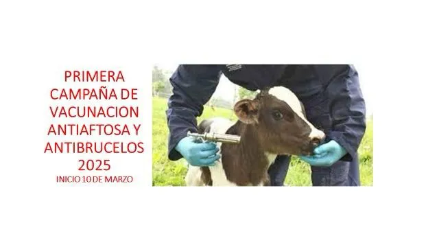 vacunacion san jasto2