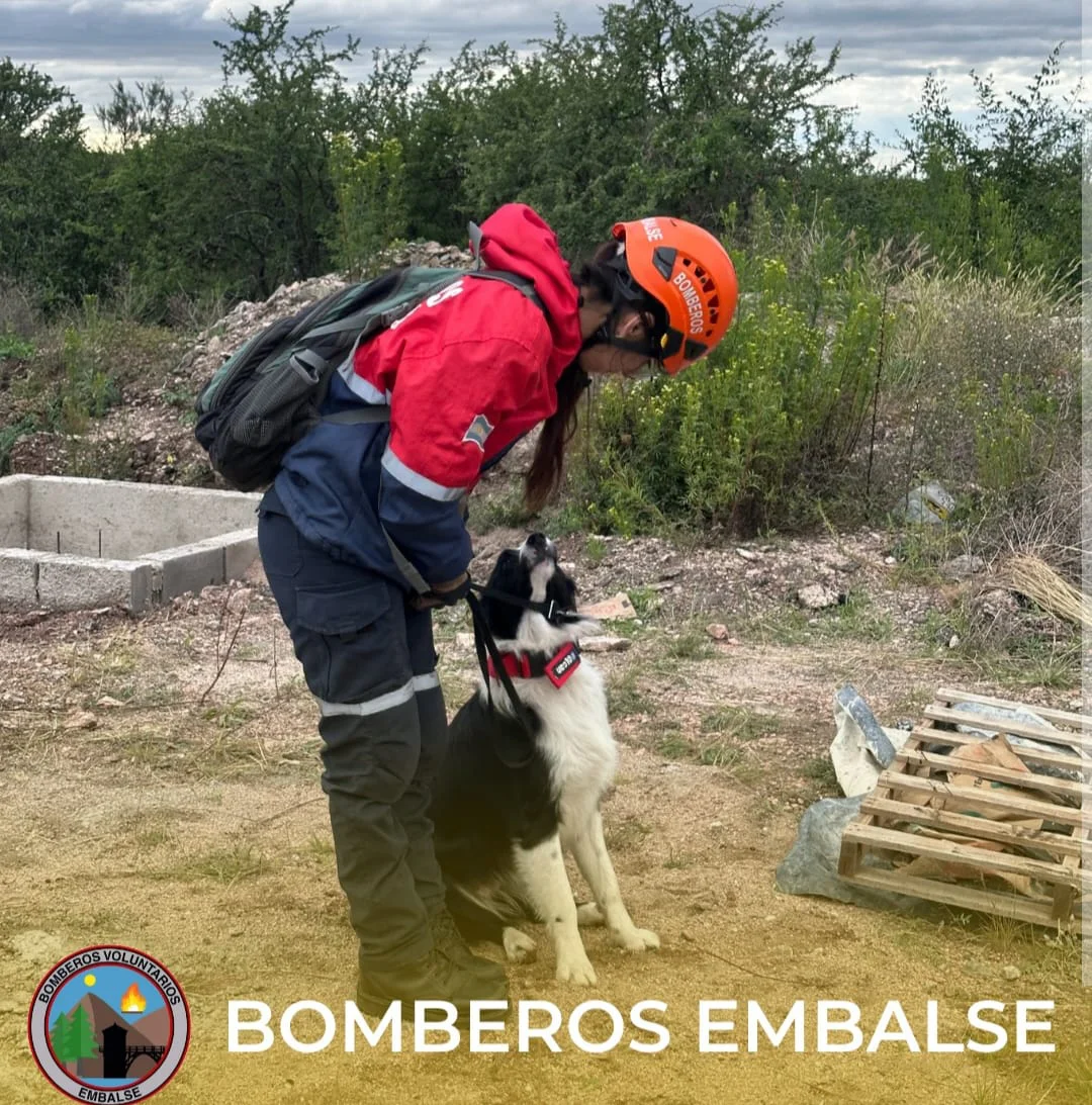 WhatsApp Image 2026-03-24 at 21.19.54bbomeras505050