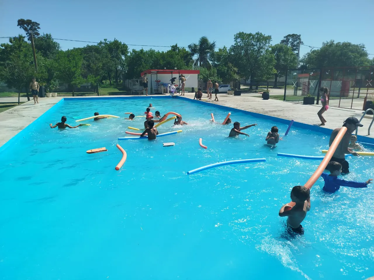 WhatsApp Image 2025-12-19 at 18.15.35pileta1