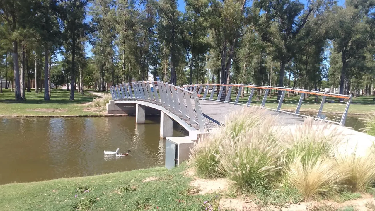 WhatsApp Image 2025-12-23 at 08.36.10lago alicia portada