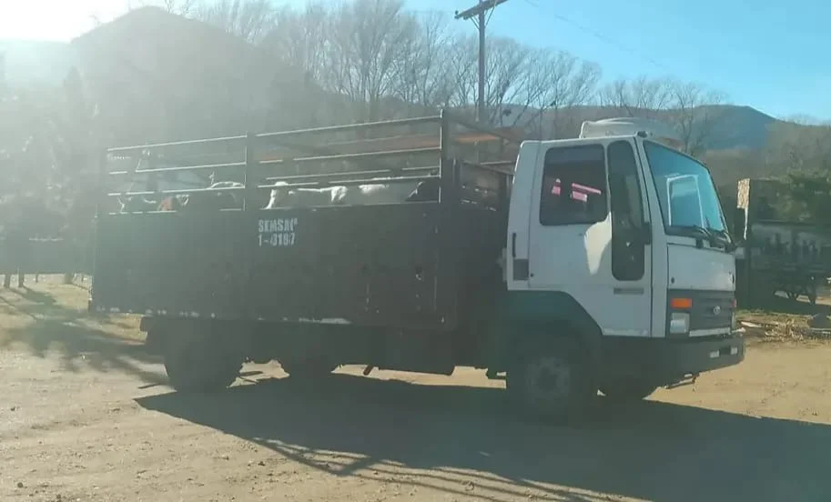 fbe5b49a-53ba-4a8d-9997-b7a1976d9bd8camion33