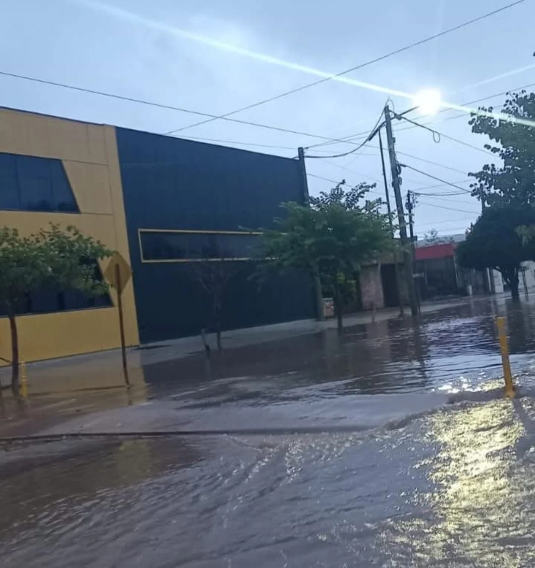 WhatsApp Image 2026-03-28 at 10.58.02lluvia3