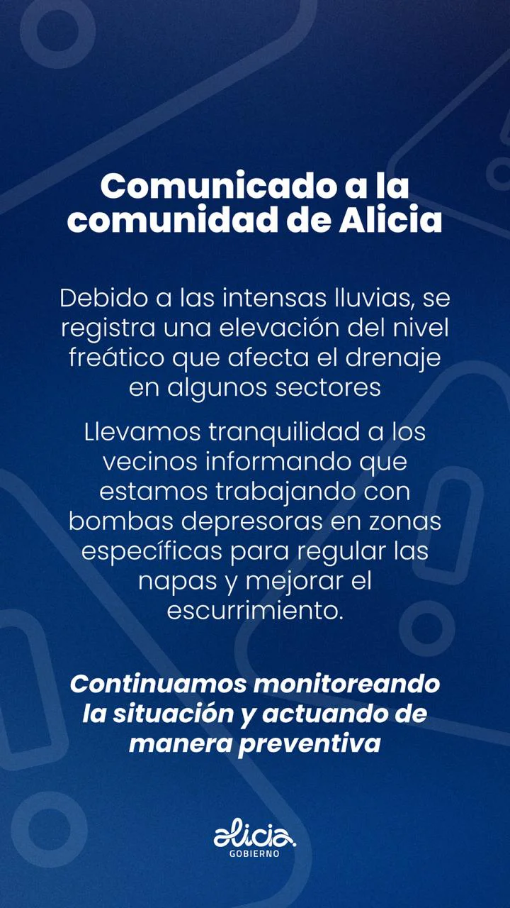 WhatsApp Image 2026-04-01 at 13.35.26alicia5