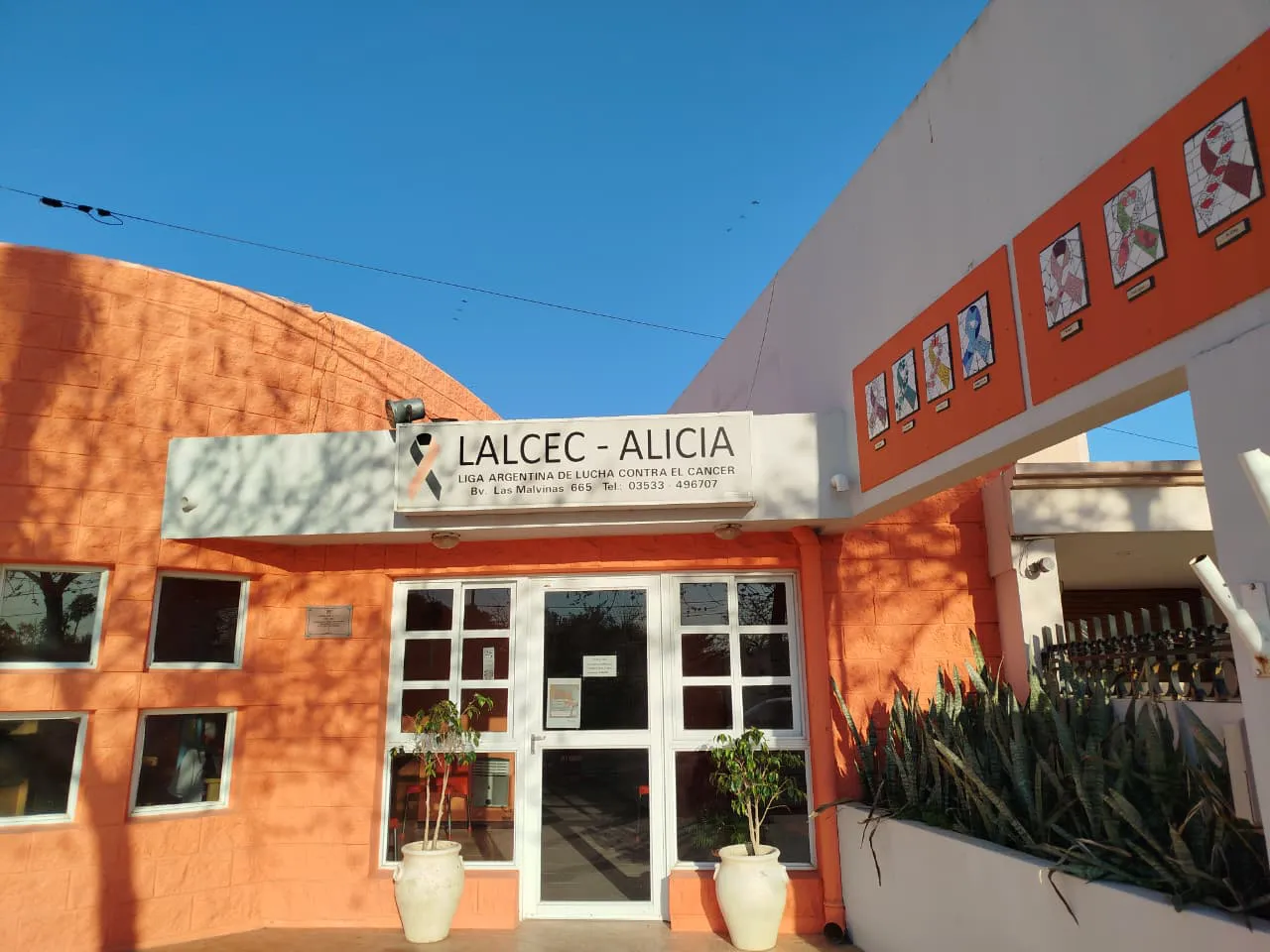 lalcec aliciaportada