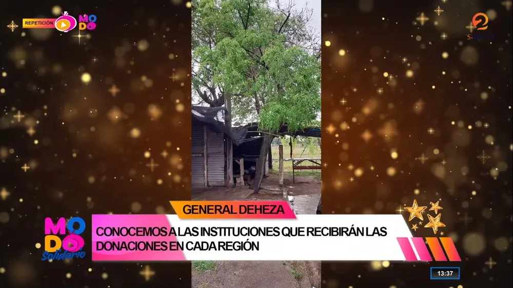 modo solidarioaerbol