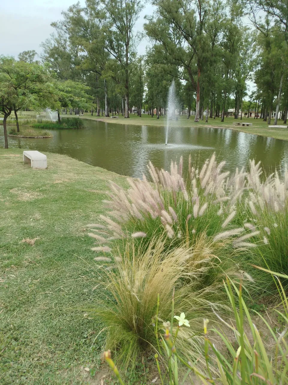 WhatsApp Image 2026-01-15 at 08.59.17parqu2