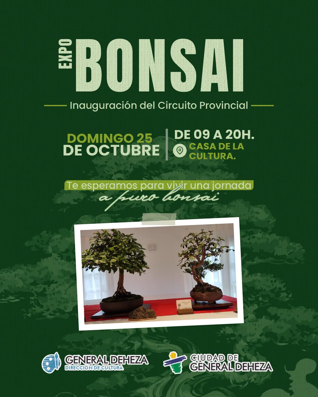 aa843c89-33c1-441b-b588-d4c83474d71bBONSAI