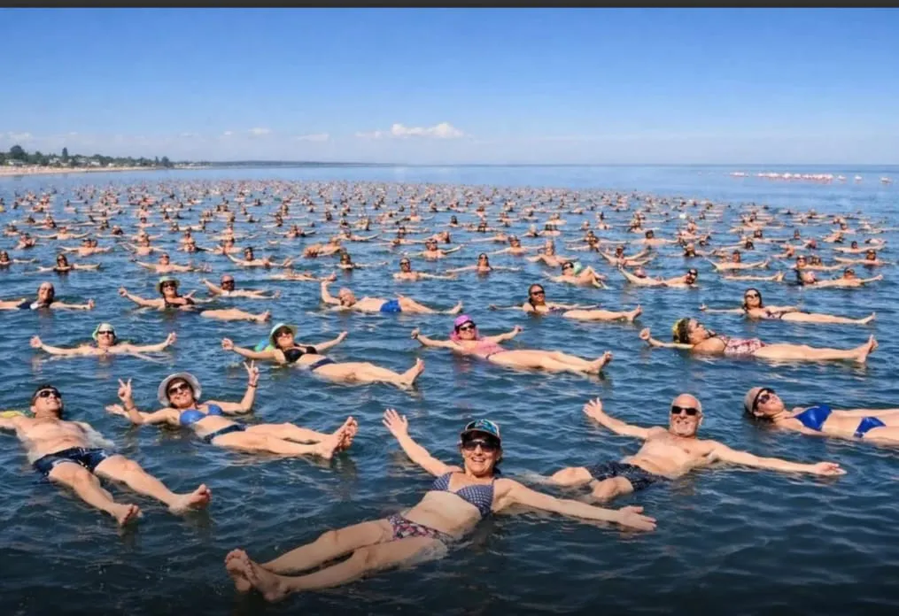 WhatsApp Image 2026-01-29 at 22.30.21PLANCHITTA33