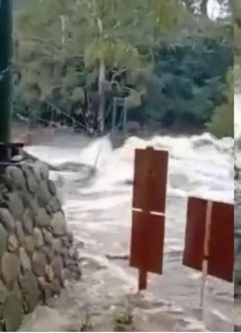 WhatsApp Image 2026-04-02 at 14.12.38puente4