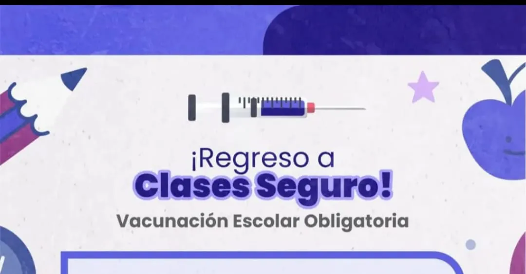 WhatsApp Image 2026-02-10 at 08.40.32vasvubas portafda