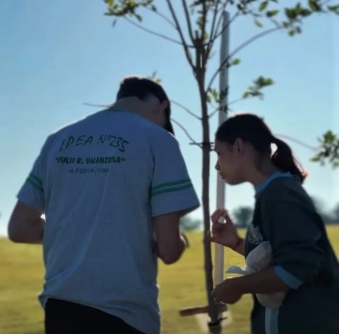 WhatsApp Image 2026-03-25 at 20.55.10arboles2