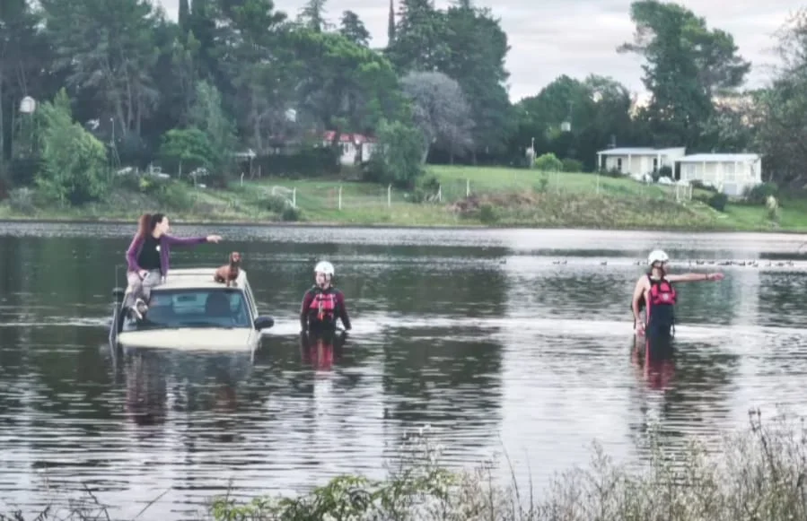 WhatsApp Image 2026-03-22 at 10.12.18auto lago2