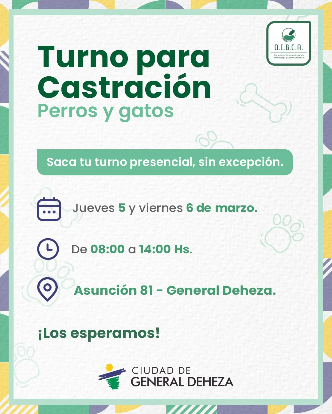 WhatsApp Image 2026-03-03 at 21.13.00castracion33