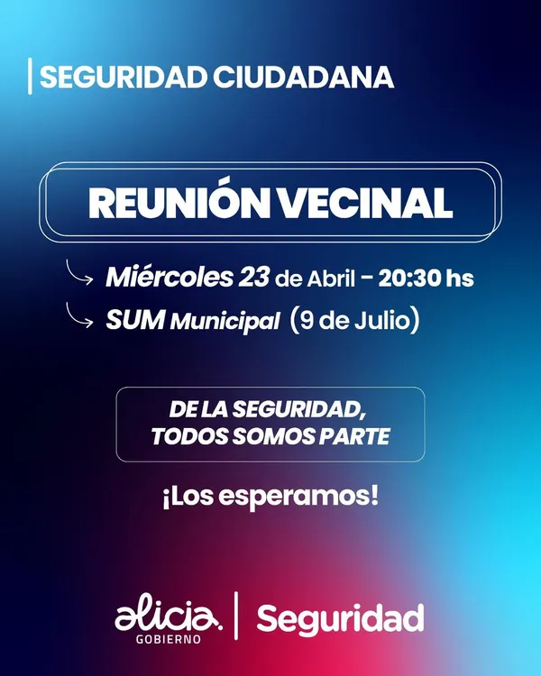 seguridasd ciudadana