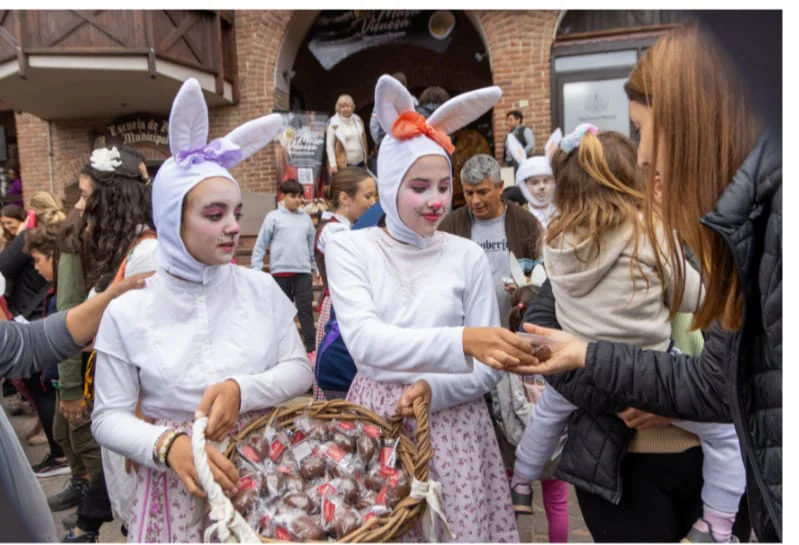 WhatsApp Image 2026-03-29 at 22.05.59conejas6