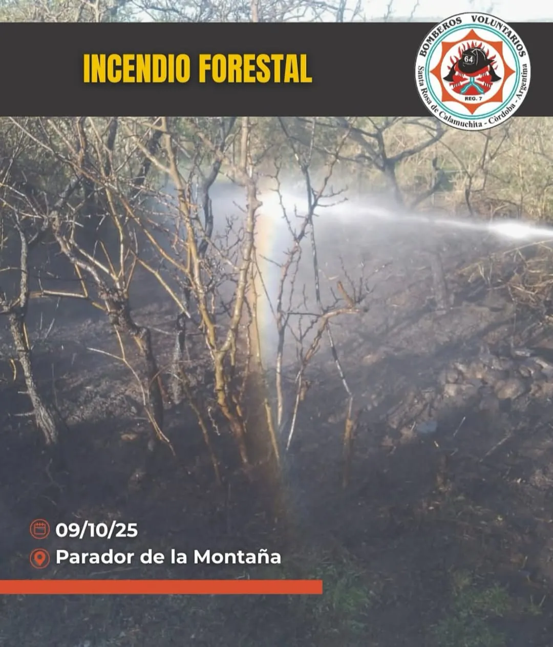 incendio forestal334