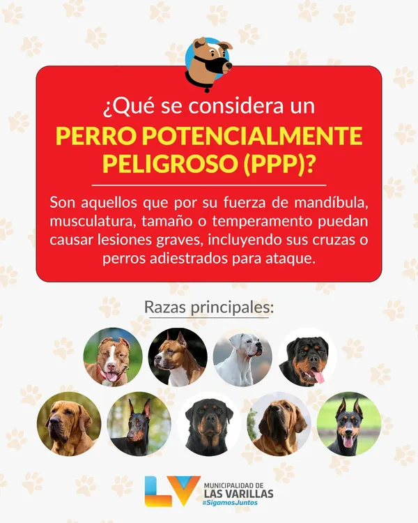 1011d3d5-44cf-4410-9852-087925c11830perororor86886867