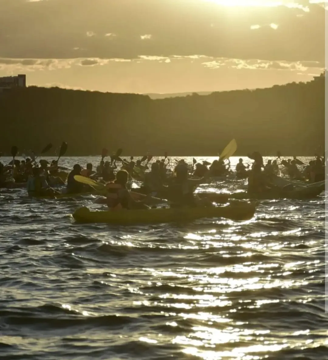 WhatsApp Image 2026-01-19 at 00.31.16remso2