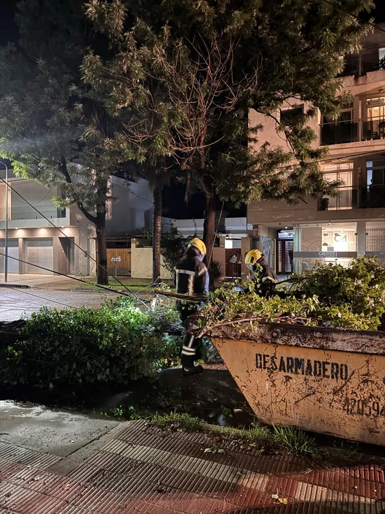 las varillas ytemporal2