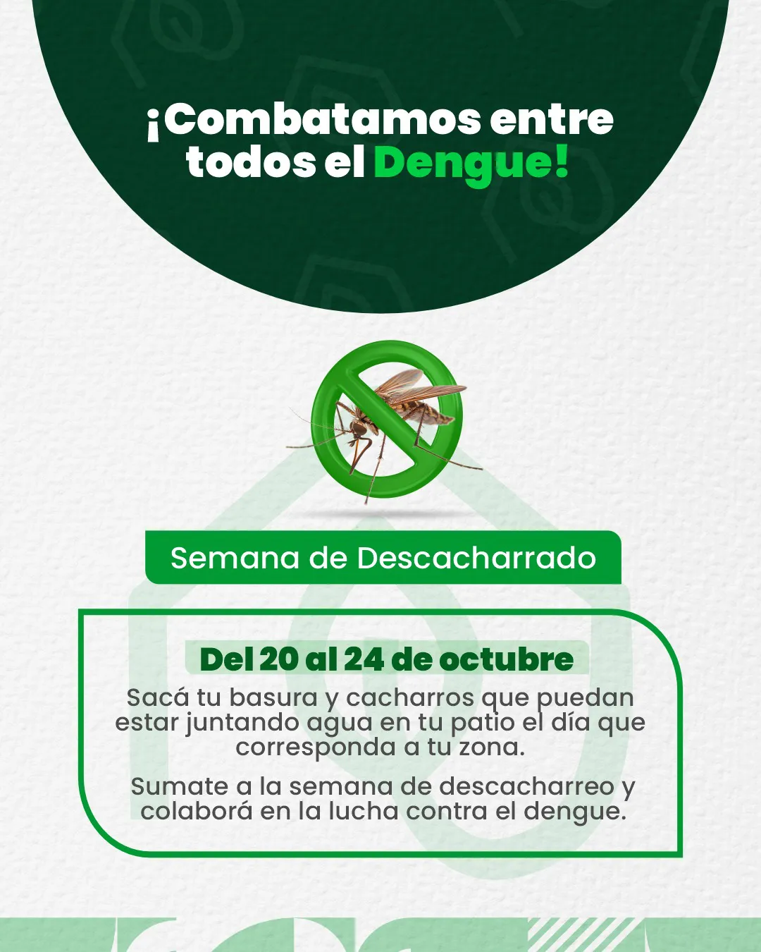 dengue deheza1
